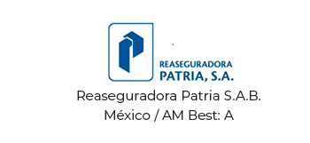 Reaseguradora patria SAB